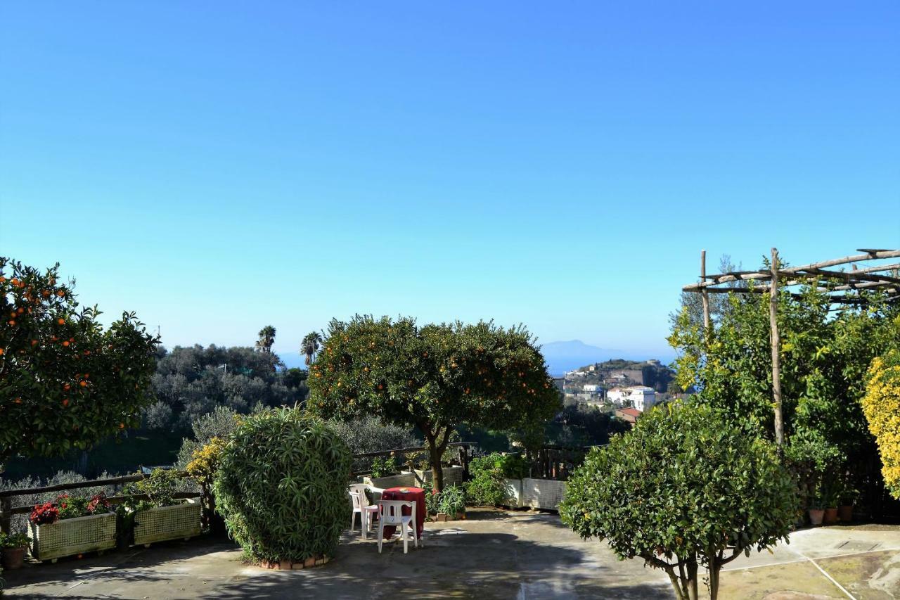 Il Viale Apartment Massa Lubrense Ngoại thất bức ảnh