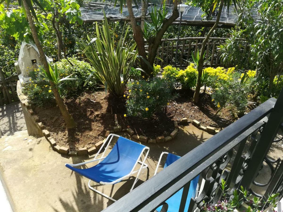 Il Viale Apartment Massa Lubrense Ngoại thất bức ảnh