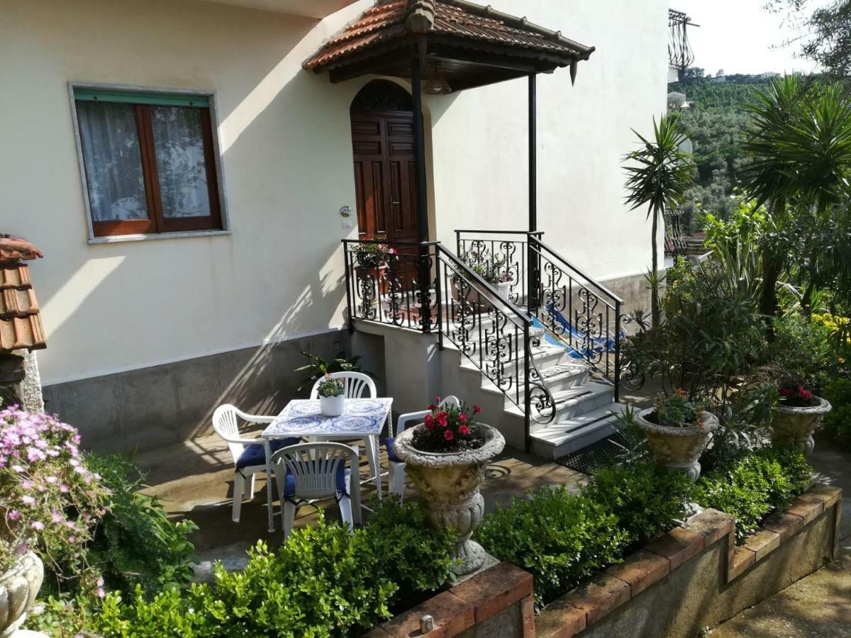 Il Viale Apartment Massa Lubrense Ngoại thất bức ảnh