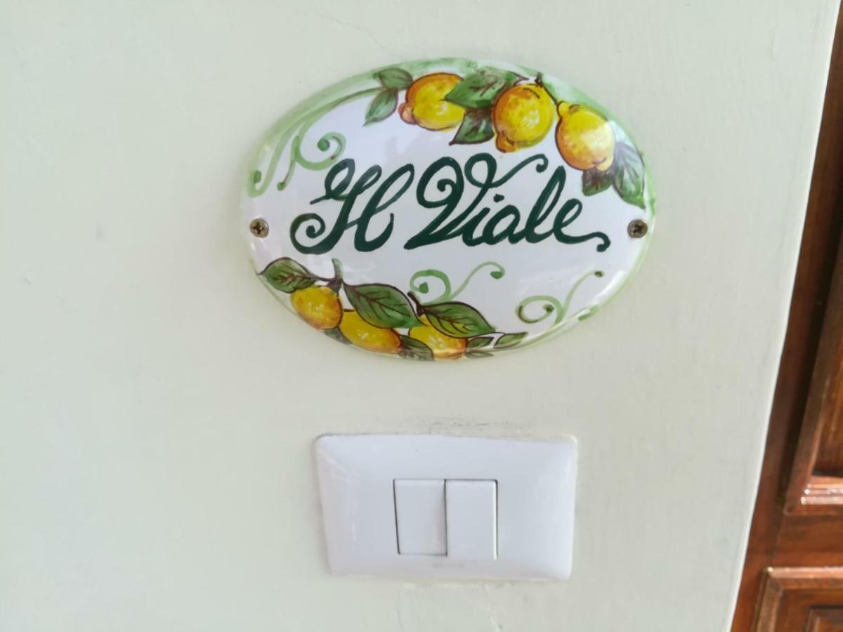 Il Viale Apartment Massa Lubrense Ngoại thất bức ảnh
